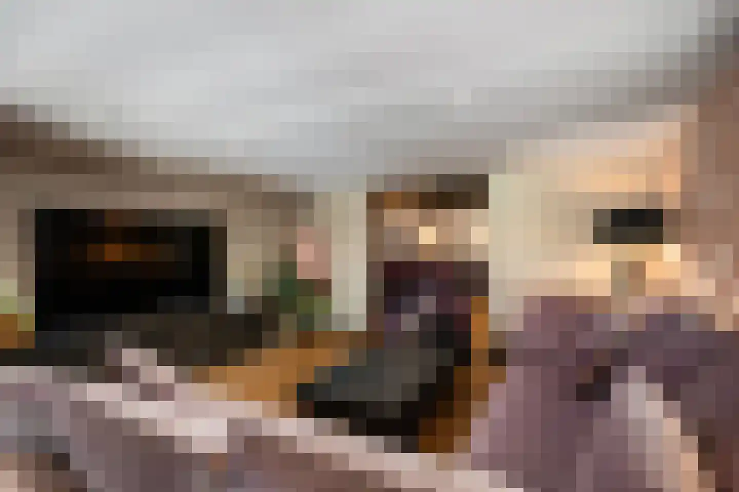 Oosteindseweg 21 Bergschenhoek thumbnail 17