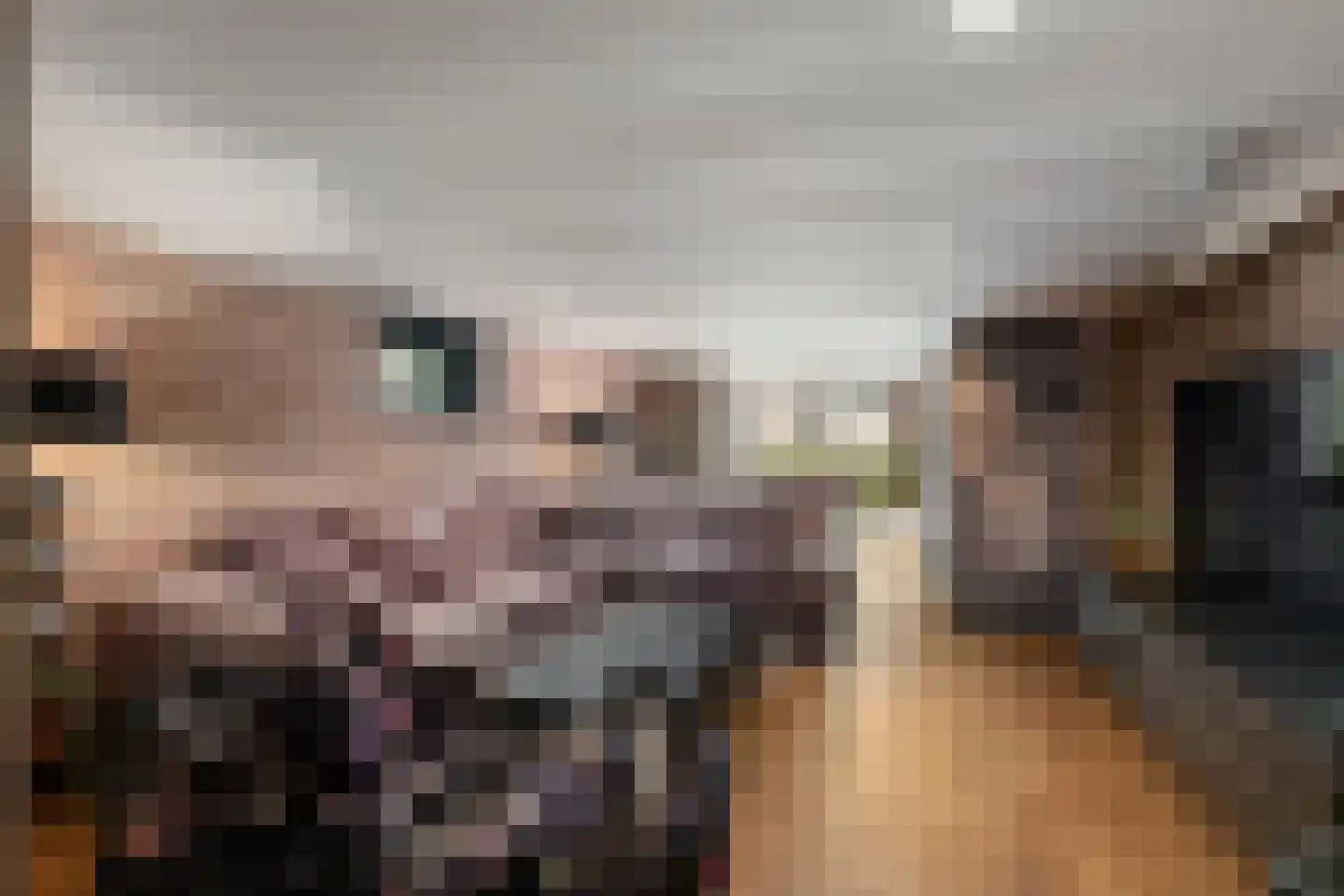 Oosteindseweg 21 Bergschenhoek thumbnail 18