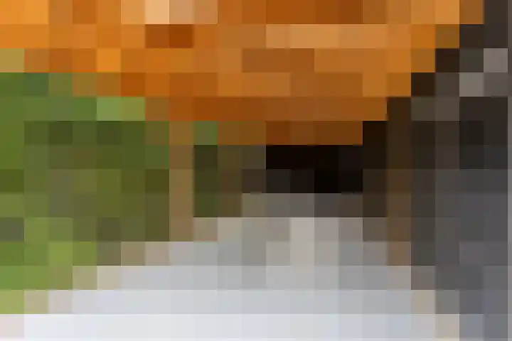 Oosteindseweg 33 Bergschenhoek thumbnail 10