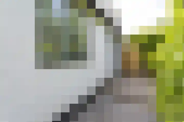 Oosteindseweg 33 Bergschenhoek thumbnail 11