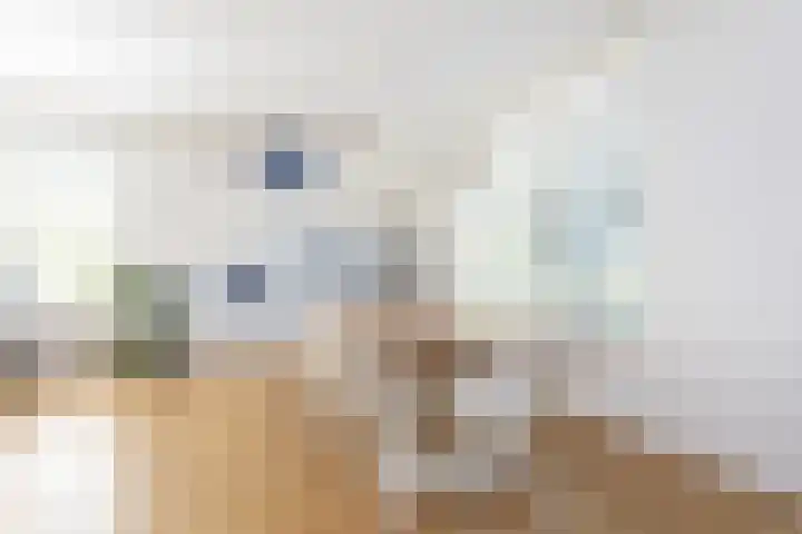 Oosteindseweg 33 Bergschenhoek thumbnail 23