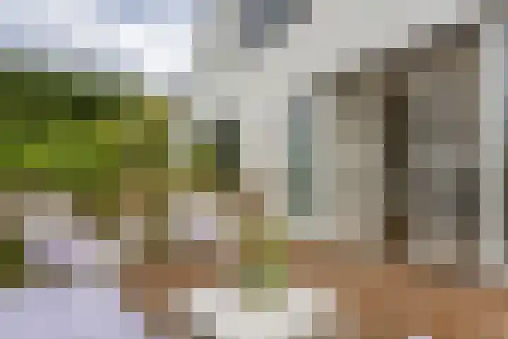 Oosteindseweg 33 Bergschenhoek thumbnail 35