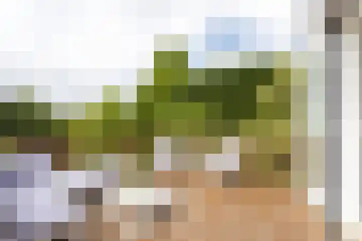 Oosteindseweg 33 Bergschenhoek thumbnail 36