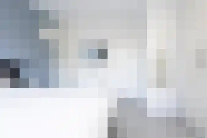 Oosteindseweg 33 Bergschenhoek thumbnail 38