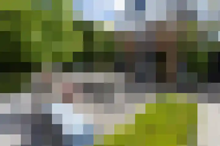 Oosteindseweg 33 Bergschenhoek thumbnail 4