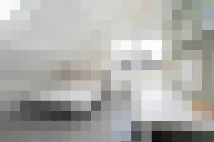 Oosteindseweg 33 Bergschenhoek thumbnail 43