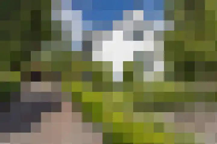 Oosteindseweg 33 Bergschenhoek thumbnail 5