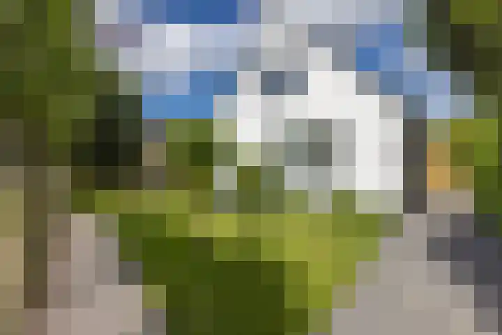 Oosteindseweg 33 Bergschenhoek thumbnail 6