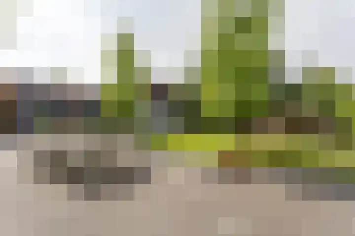 Oosteindseweg 33 Bergschenhoek thumbnail 64