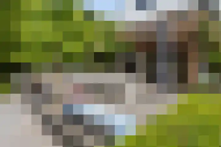 Oosteindseweg 33 Bergschenhoek thumbnail 65