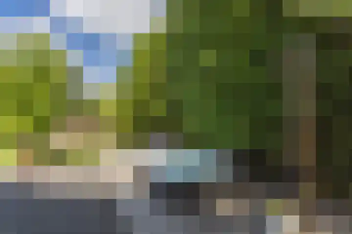 Oosteindseweg 33 Bergschenhoek thumbnail 67