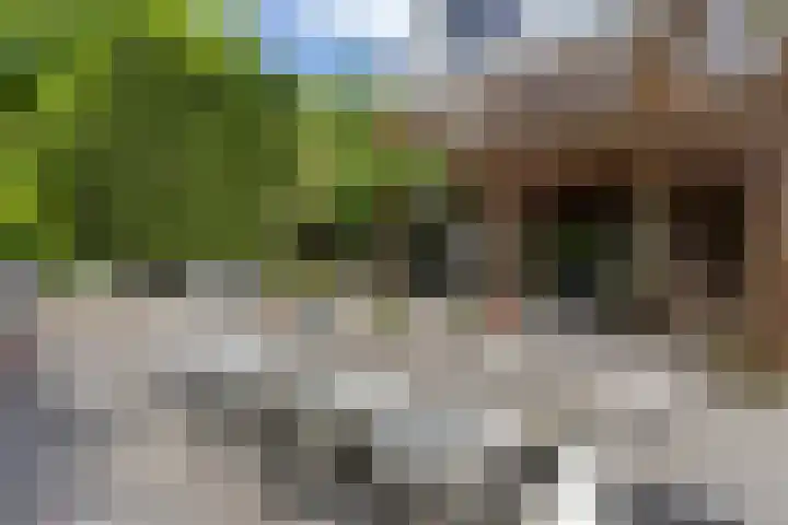 Oosteindseweg 33 Bergschenhoek thumbnail 69