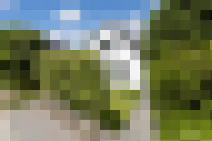 Oosteindseweg 33 Bergschenhoek thumbnail 7