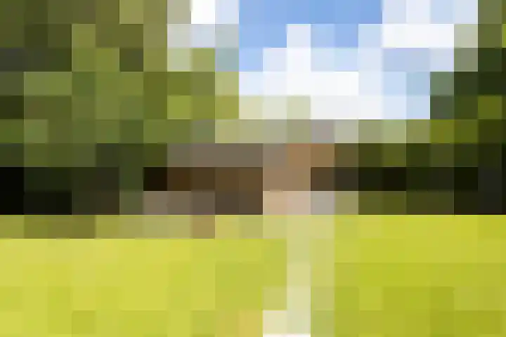 Oosteindseweg 33 Bergschenhoek thumbnail 70