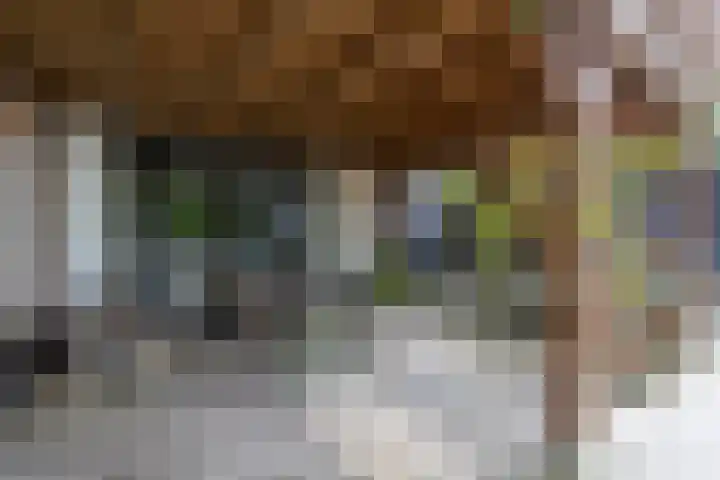 Oosteindseweg 33 Bergschenhoek thumbnail 77