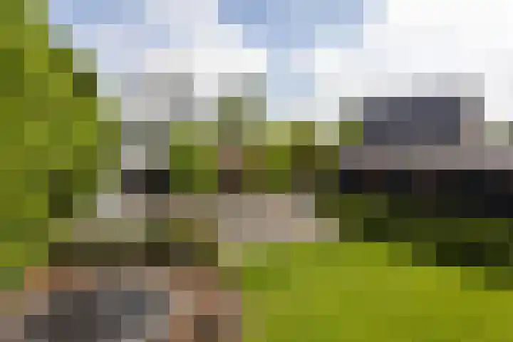 Oosteindseweg 33 Bergschenhoek thumbnail 79
