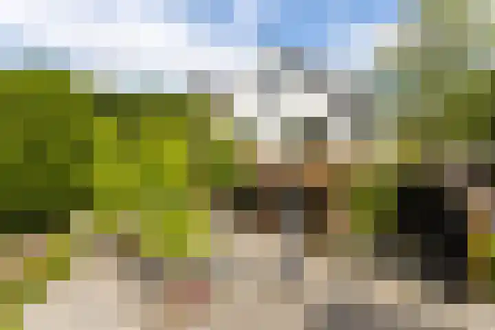 Oosteindseweg 33 Bergschenhoek thumbnail 80