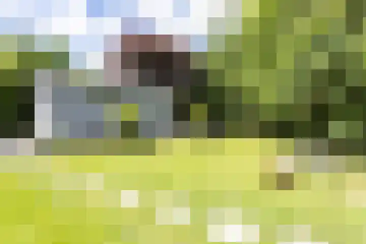 Oosteindseweg 33 Bergschenhoek thumbnail 83