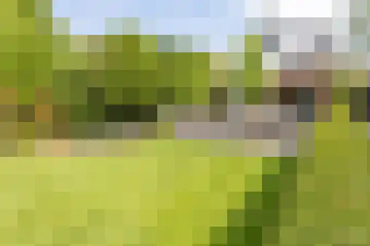 Oosteindseweg 33 Bergschenhoek thumbnail 87