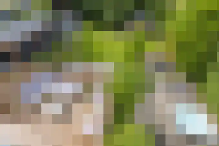 Oosteindseweg 33 Bergschenhoek thumbnail 88