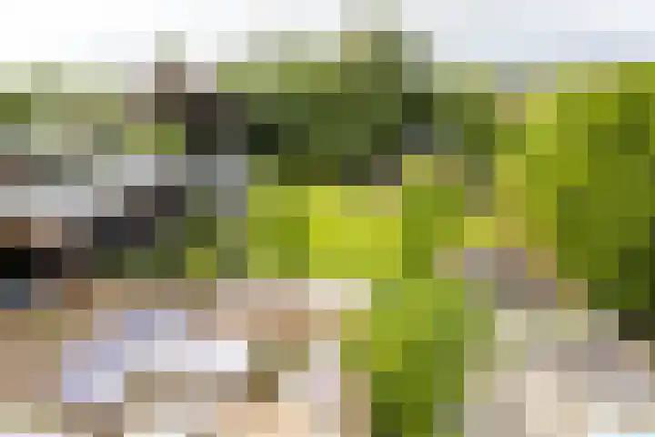 Oosteindseweg 33 Bergschenhoek thumbnail 89