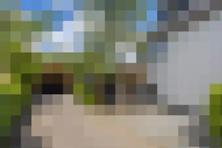 Oosteindseweg 33 Bergschenhoek thumbnail 9