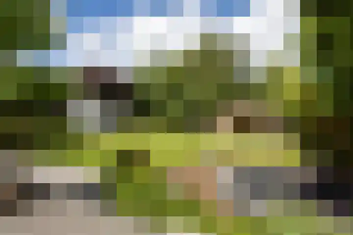 Oosteindseweg 33 Bergschenhoek thumbnail 90