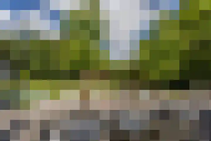 Oosteindseweg 33 Bergschenhoek thumbnail 93