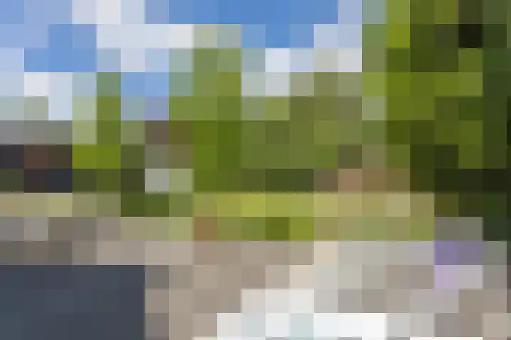 Oosteindseweg 33 Bergschenhoek thumbnail 94