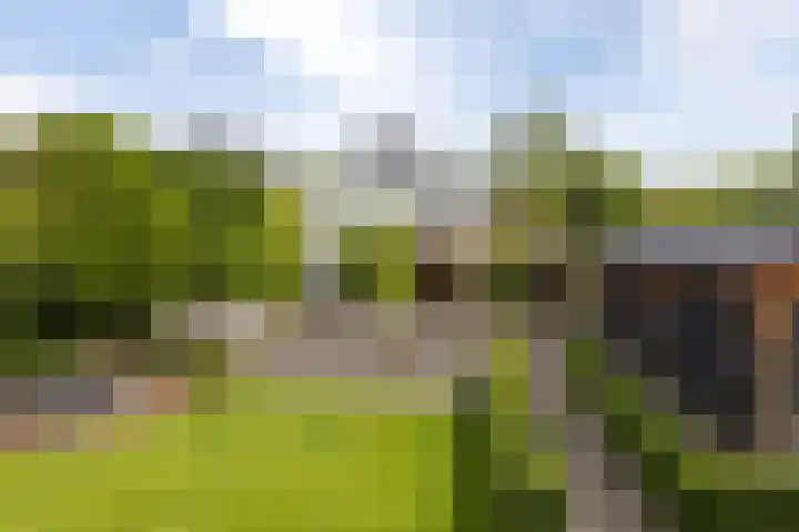 Oosteindseweg 33 Bergschenhoek thumbnail 95
