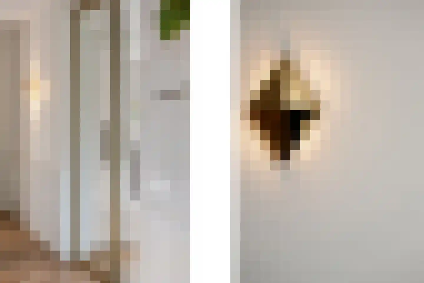 Oosteindseweg 40 Bergschenhoek thumbnail 10