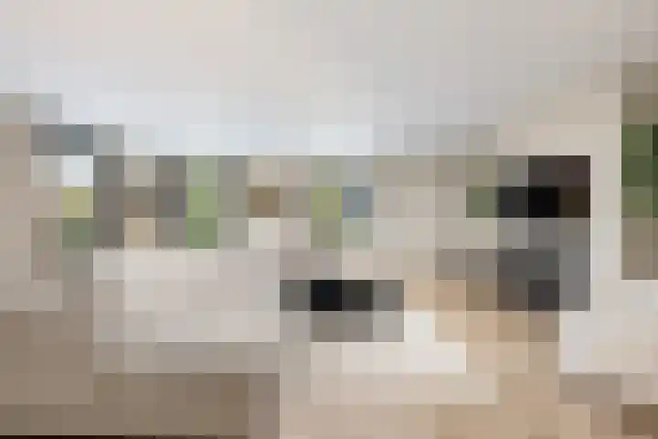 Oosteindseweg 40 Bergschenhoek thumbnail 11