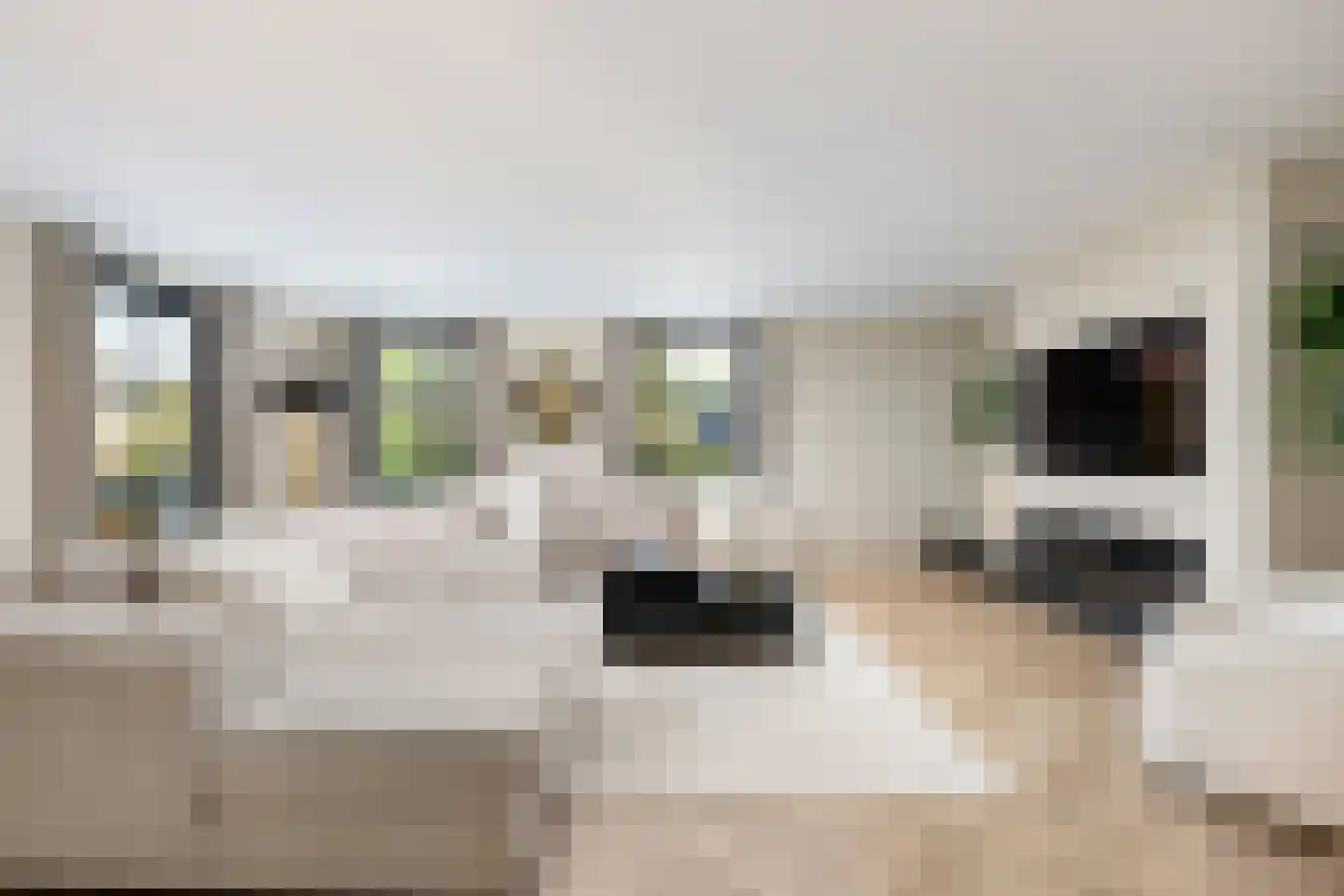 Oosteindseweg 40 Bergschenhoek thumbnail 12