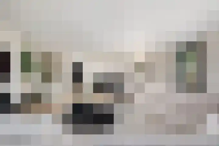 Oosteindseweg 40 Bergschenhoek thumbnail 13