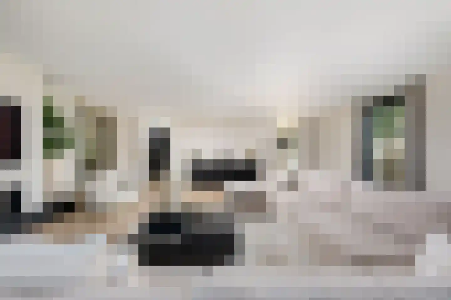 Oosteindseweg 40 Bergschenhoek thumbnail 14