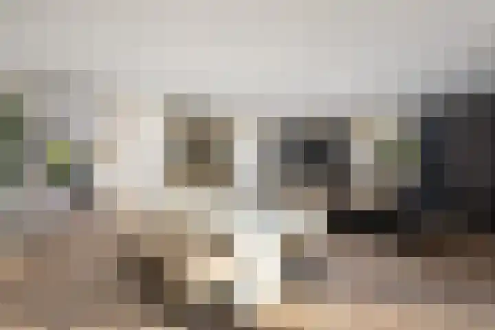 Oosteindseweg 40 Bergschenhoek thumbnail 19