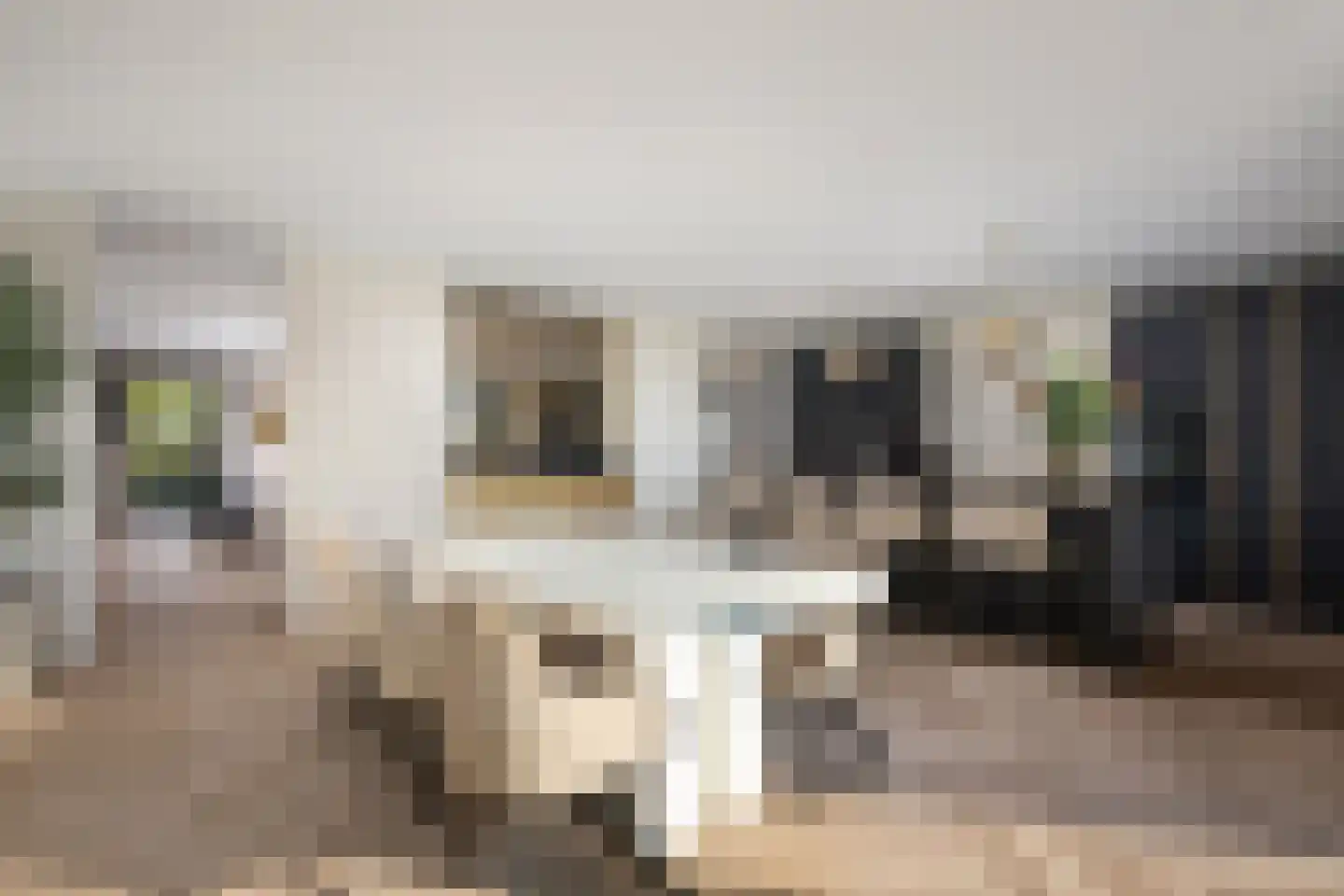 Oosteindseweg 40 Bergschenhoek thumbnail 20