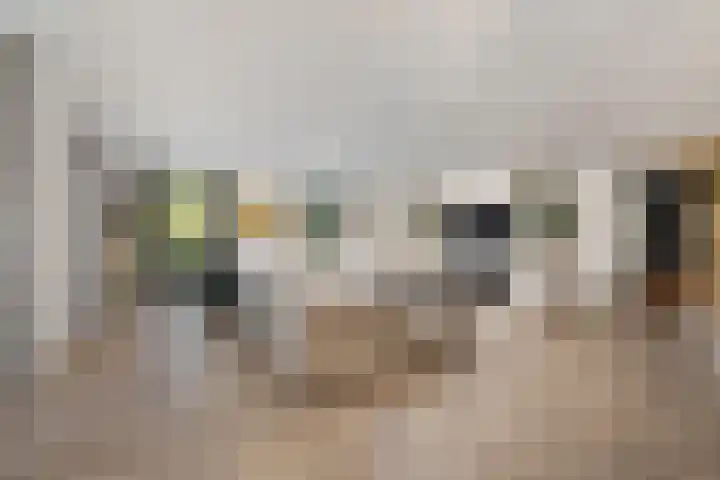 Oosteindseweg 40 Bergschenhoek thumbnail 21
