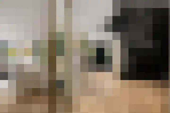 Oosteindseweg 40 Bergschenhoek thumbnail 23