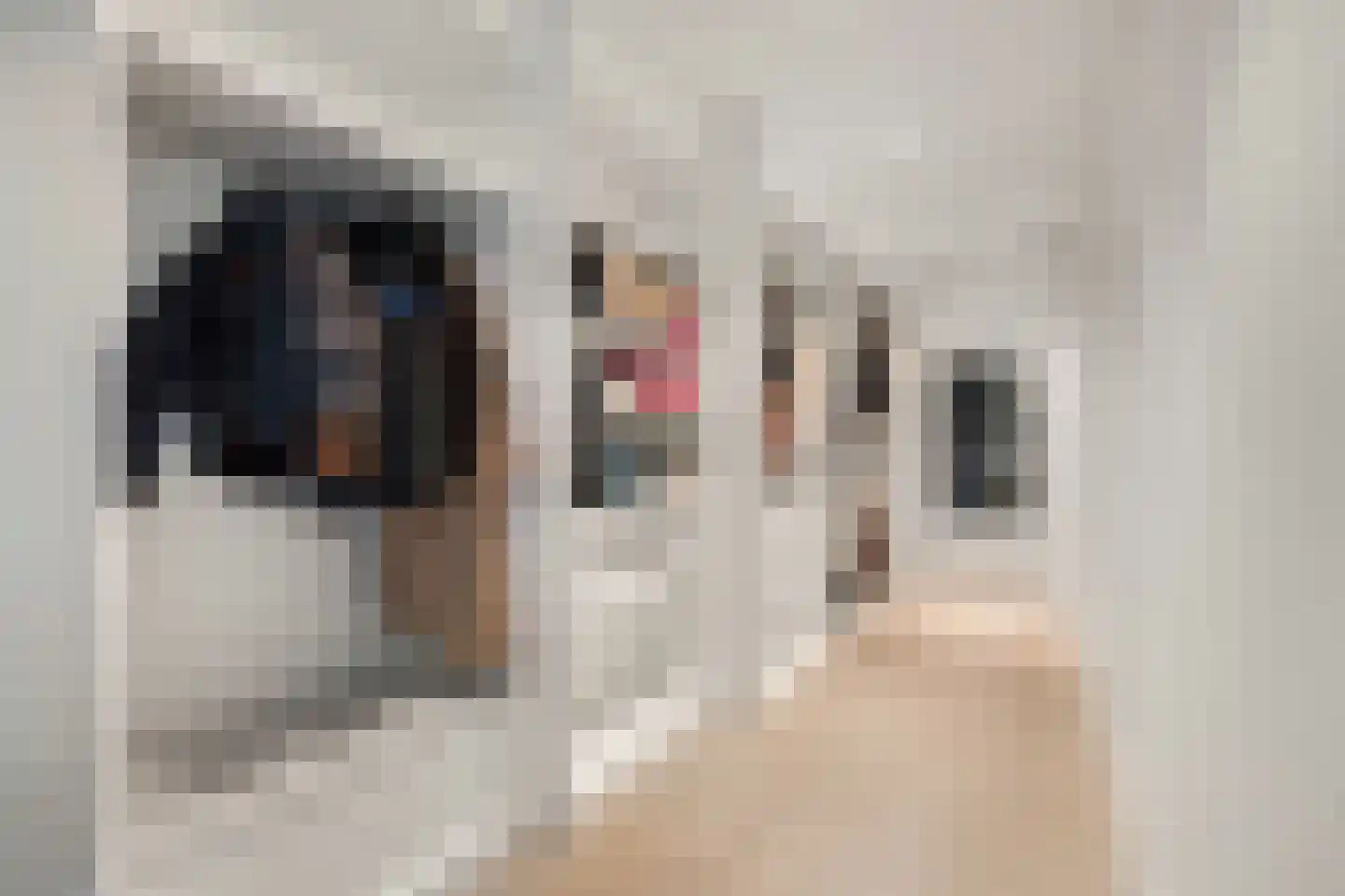 Oosteindseweg 40 Bergschenhoek thumbnail 30