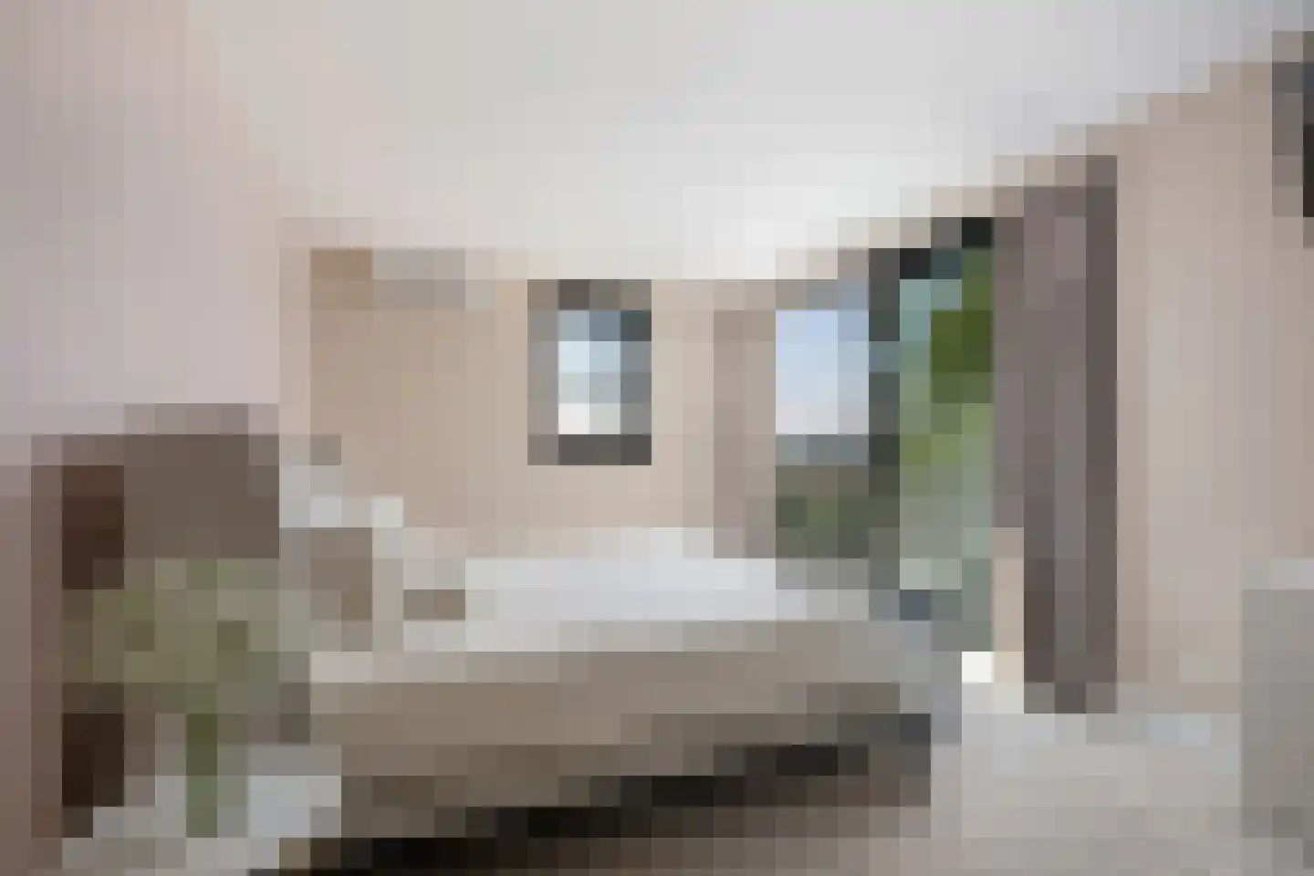 Oosteindseweg 40 Bergschenhoek thumbnail 31