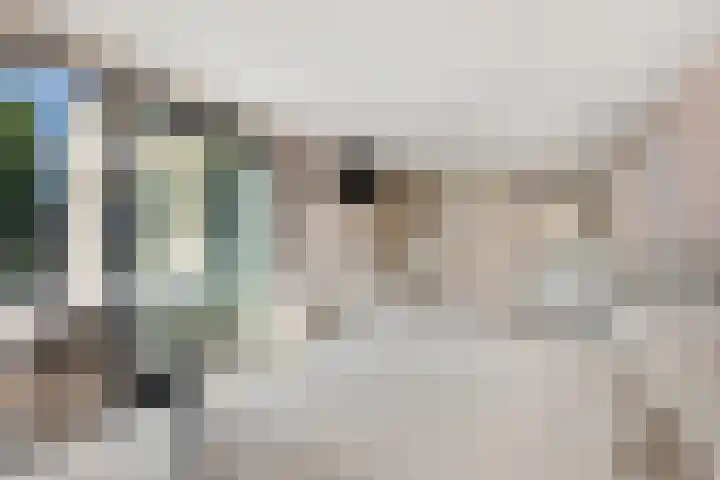 Oosteindseweg 40 Bergschenhoek thumbnail 32