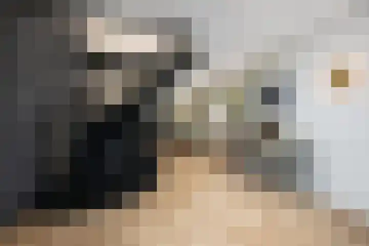 Oosteindseweg 40 Bergschenhoek thumbnail 35