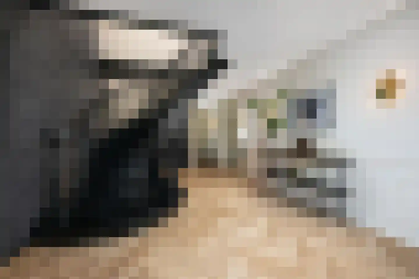 Oosteindseweg 40 Bergschenhoek thumbnail 36