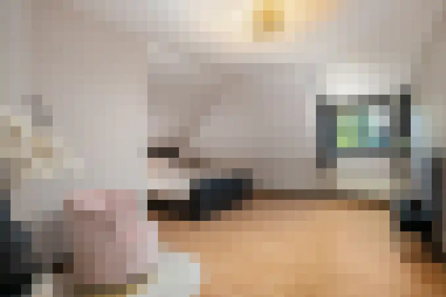 Oosteindseweg 40 Bergschenhoek thumbnail 38