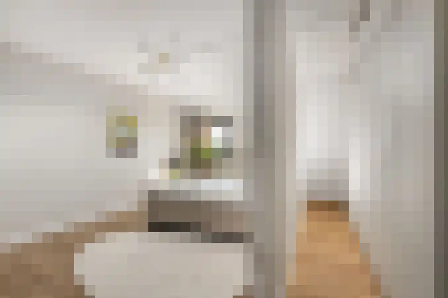 Oosteindseweg 40 Bergschenhoek thumbnail 41