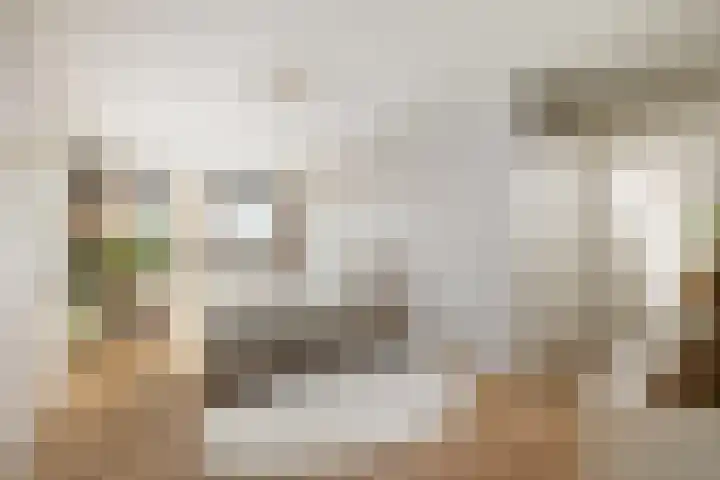 Oosteindseweg 40 Bergschenhoek thumbnail 41