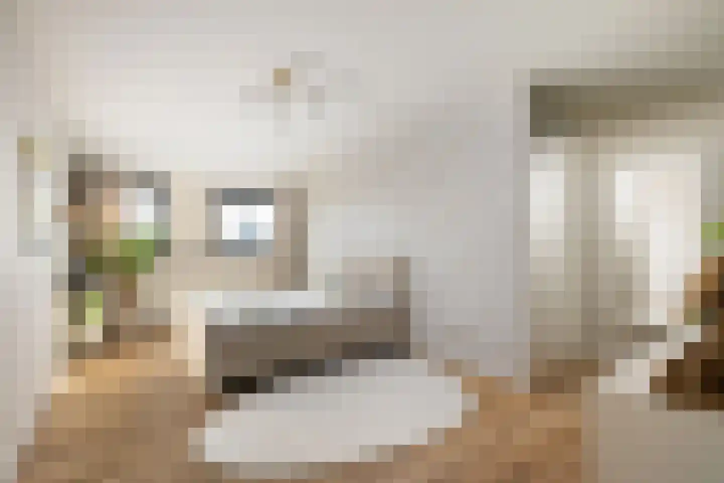 Oosteindseweg 40 Bergschenhoek thumbnail 42