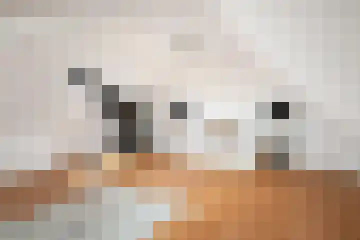 Oosteindseweg 40 Bergschenhoek thumbnail 46