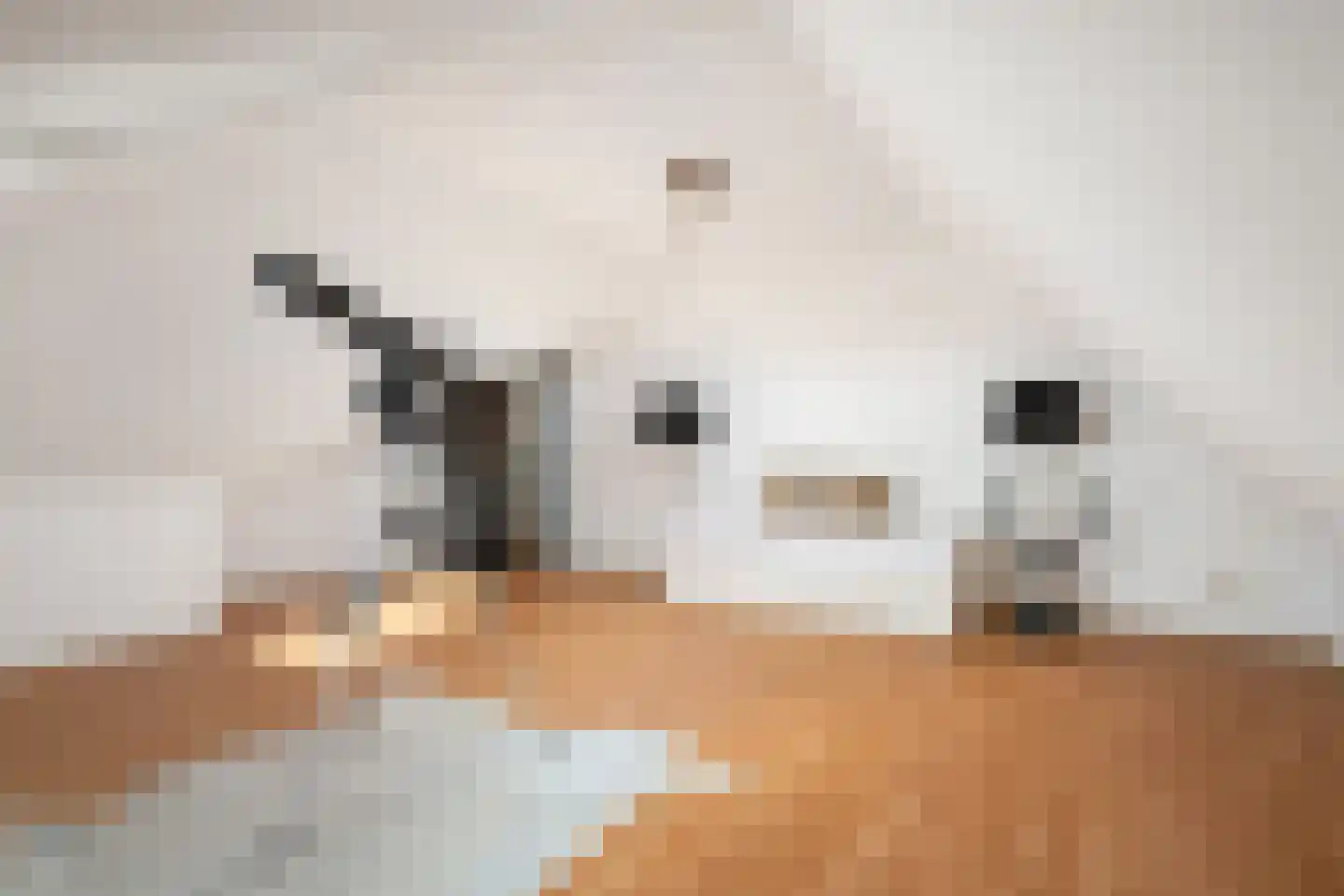Oosteindseweg 40 Bergschenhoek thumbnail 47